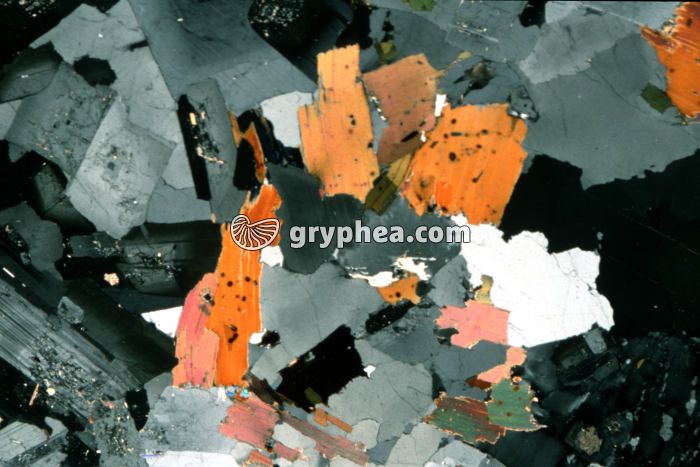 Granite LPA x4 - gryphea.com